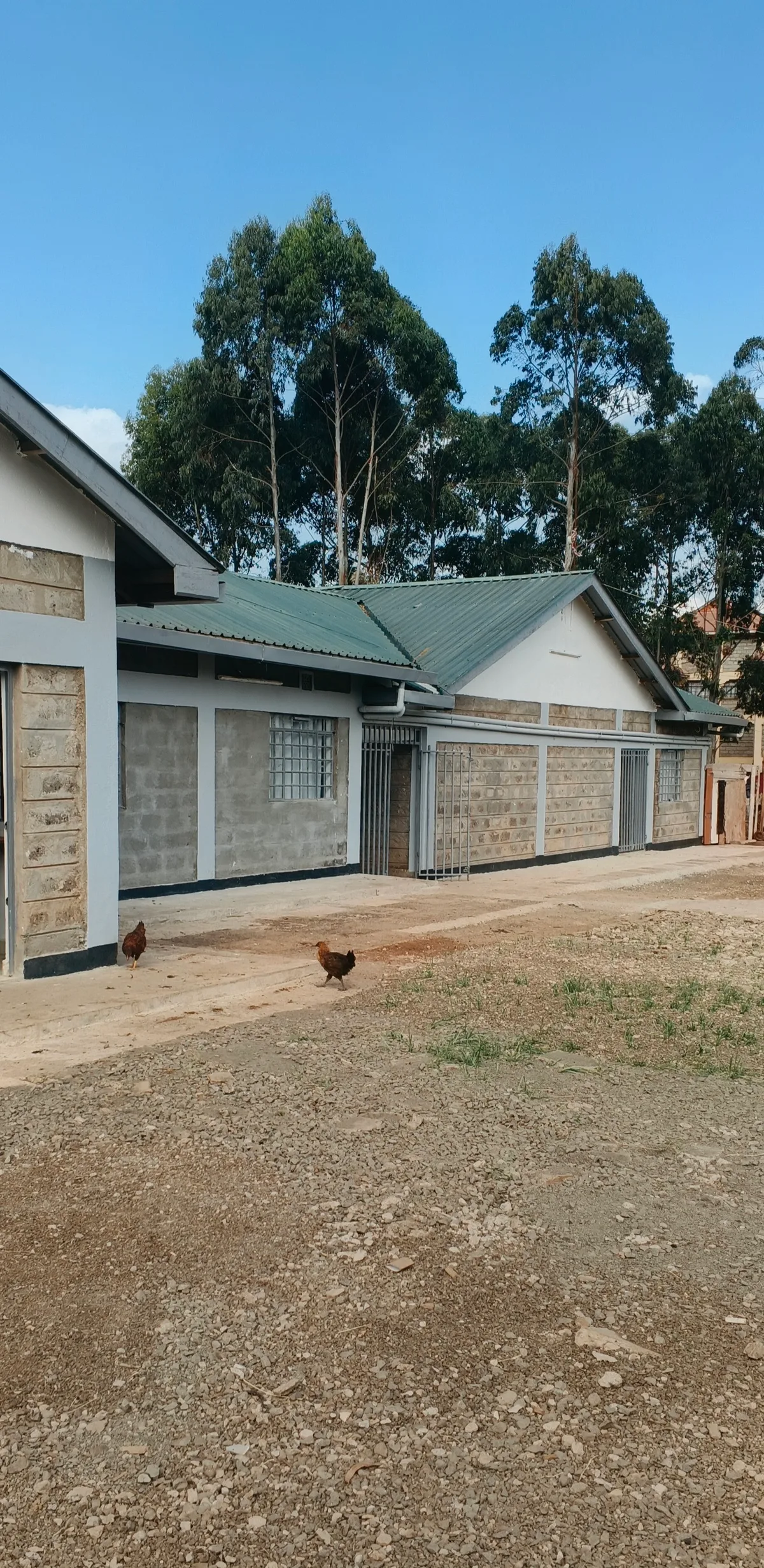 MimShack - nearby student hostel near DeKUT Nyeri